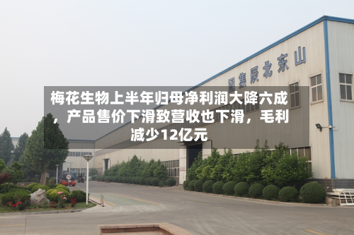 梅花生物上半年归母净利润大降六成，产品售价下滑致营收也下滑，毛利减少12亿元-第2张图片