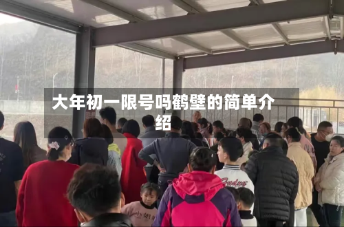 大年初一限号吗鹤壁的简单介绍