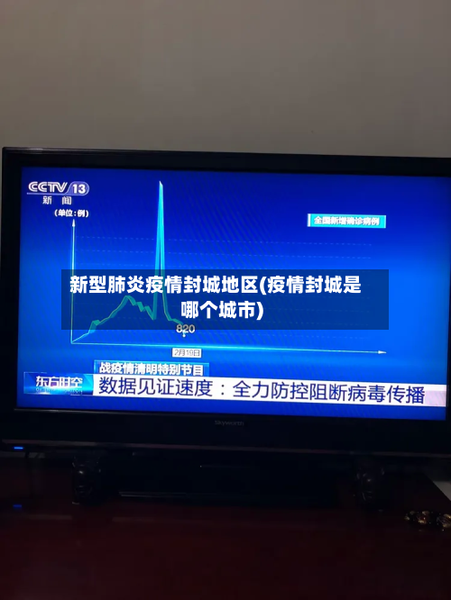 新型肺炎疫情封城地区(疫情封城是哪个城市)-第2张图片