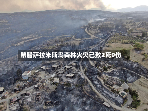 希腊萨拉米斯岛森林火灾已致2死9伤