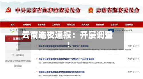云南连夜通报:开展调查!-第2张图片