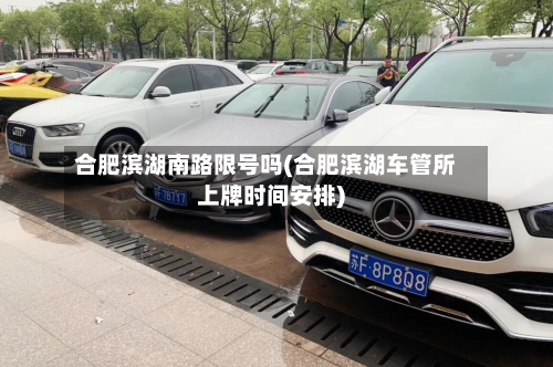 合肥滨湖南路限号吗(合肥滨湖车管所上牌时间安排)