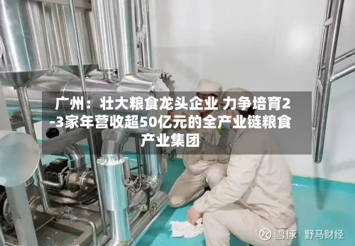 广州:壮大粮食龙头企业 力争培育2-3家年营收超50亿元的全产业链粮食产业集团-第2张图片