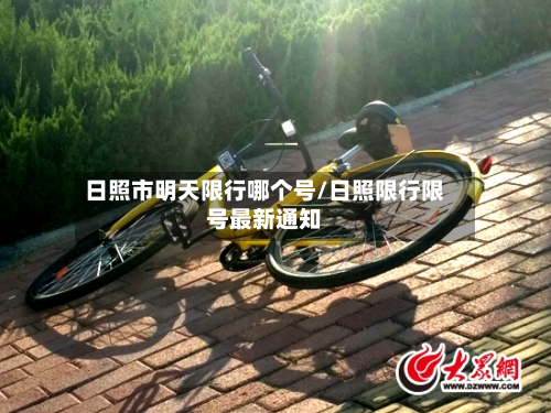 日照市明天限行哪个号/日照限行限号最新通知