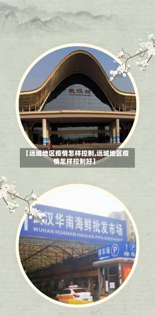 【远城地区疫情怎样控制,远城地区疫情怎样控制好】-第2张图片
