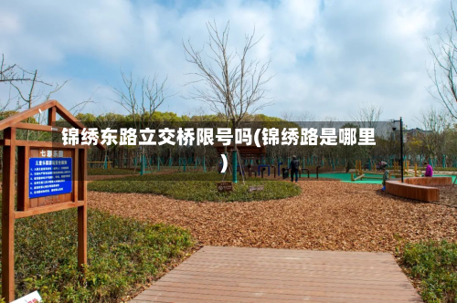 锦绣东路立交桥限号吗(锦绣路是哪里)-第2张图片