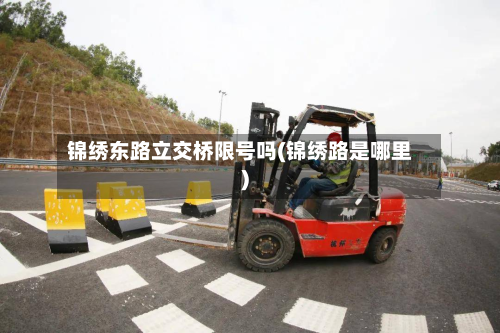 锦绣东路立交桥限号吗(锦绣路是哪里)