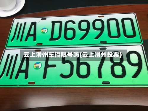 云上滑州车辆限号吗(云上滑州投票)-第2张图片
