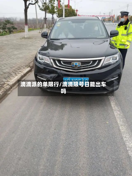 滴滴派的单限行/滴滴限号日能出车吗-第3张图片