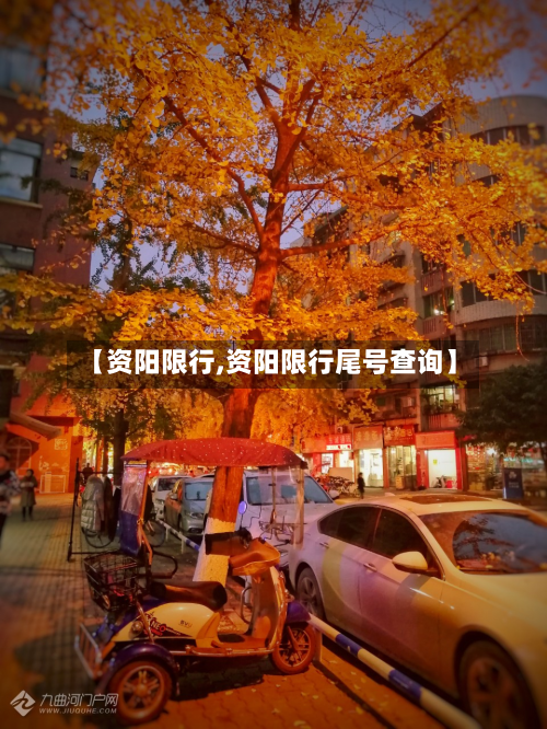 【资阳限行,资阳限行尾号查询】-第3张图片