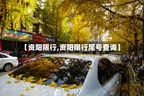 【资阳限行,资阳限行尾号查询】-第2张图片