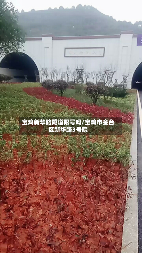 宝鸡新华路隧道限号吗/宝鸡市金台区新华路3号院