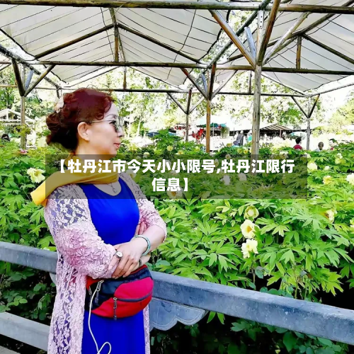 【牡丹江市今天小小限号,牡丹江限行信息】