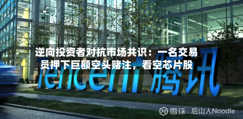 逆向投资者对抗市场共识：一名交易员押下巨额空头赌注，看空芯片股
