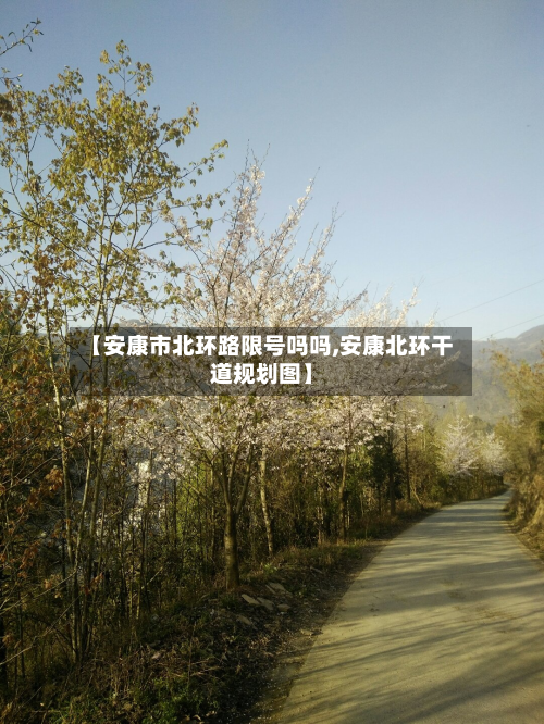 【安康市北环路限号吗吗,安康北环干道规划图】-第2张图片