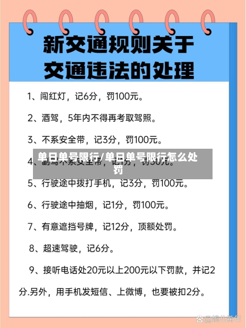单日单号限行/单日单号限行怎么处罚