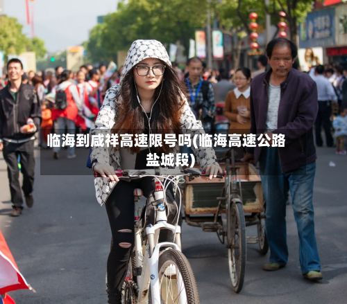 临海到咸祥高速限号吗(临海高速公路盐城段)-第2张图片