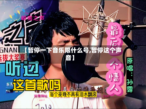 【暂停一下音乐限什么号,暂停这个声音】-第3张图片