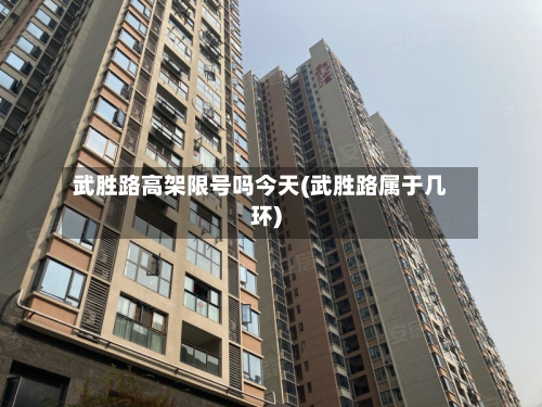 武胜路高架限号吗今天(武胜路属于几环)-第2张图片