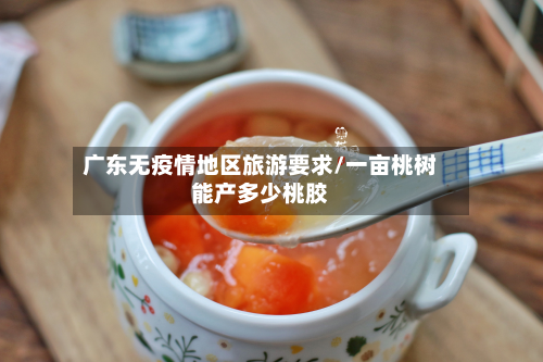 广东无疫情地区旅游要求/一亩桃树能产多少桃胶-第3张图片