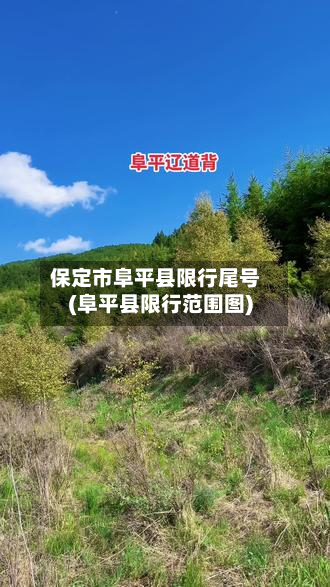 保定市阜平县限行尾号(阜平县限行范围图)