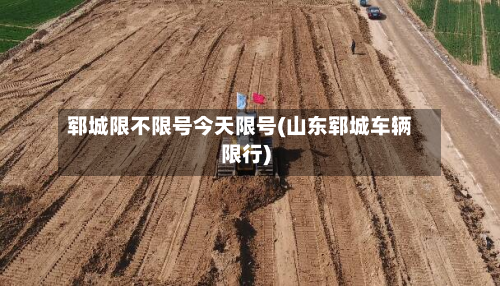 郓城限不限号今天限号(山东郓城车辆限行)-第3张图片