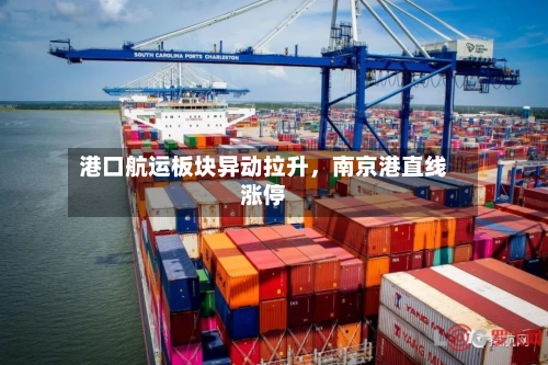 港口航运板块异动拉升，南京港直线涨停-第2张图片
