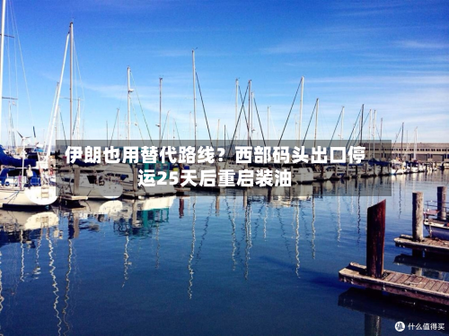 伊朗也用替代路线?西部码头出口停运25天后重启装油-第3张图片