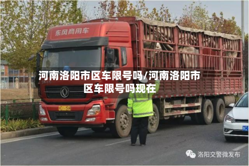 河南洛阳市区车限号吗/河南洛阳市区车限号吗现在-第3张图片