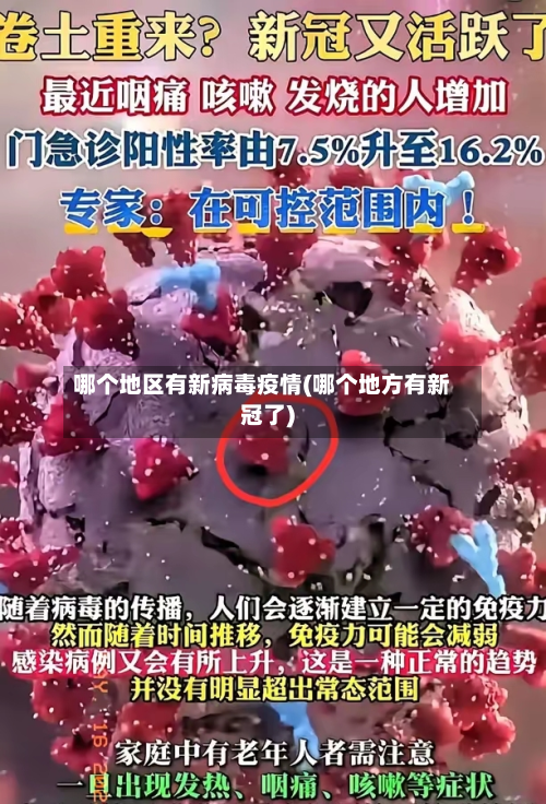 哪个地区有新病毒疫情(哪个地方有新冠了)
