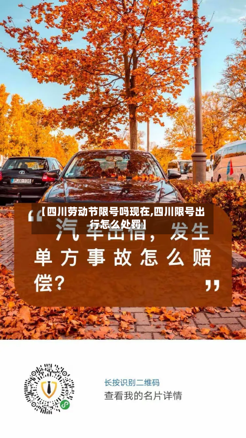 【四川劳动节限号吗现在,四川限号出行怎么处罚】-第2张图片