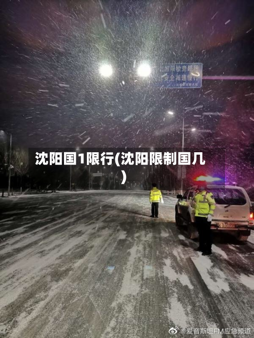 沈阳国1限行(沈阳限制国几)-第2张图片