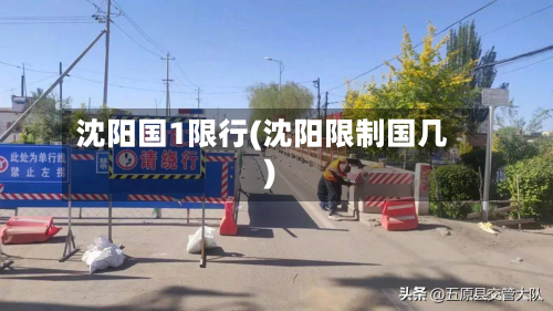 沈阳国1限行(沈阳限制国几)