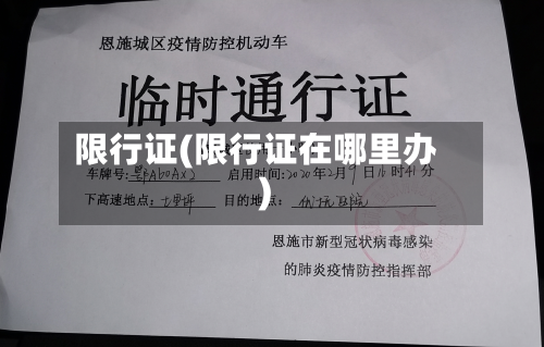 限行证(限行证在哪里办)-第3张图片