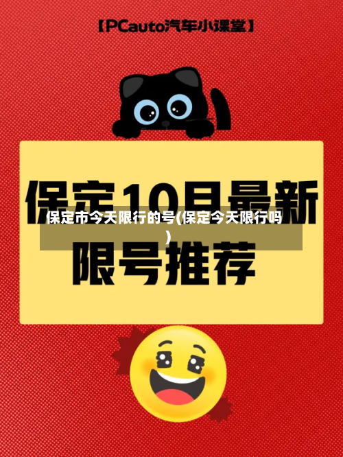 保定市今天限行的号(保定今天限行吗)-第2张图片