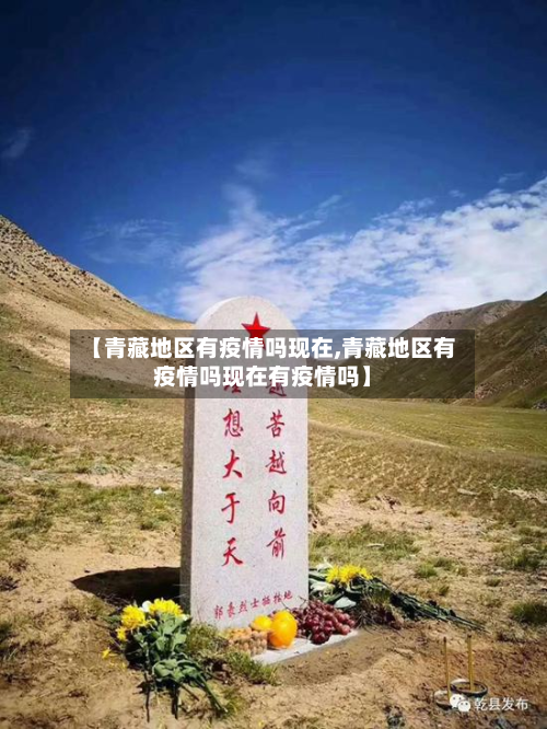 【青藏地区有疫情吗现在,青藏地区有疫情吗现在有疫情吗】-第3张图片