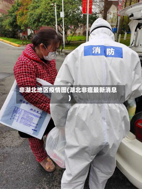 非湖北地区疫情图(湖北非瘟最新消息)-第3张图片