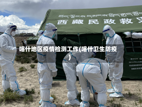 喀什地区疫情检测工作(喀什卫生防疫)-第3张图片