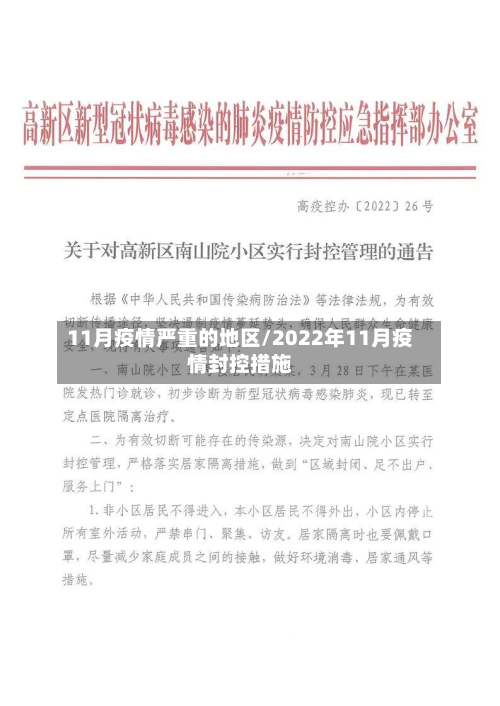 11月疫情严重的地区/2022年11月疫情封控措施-第2张图片