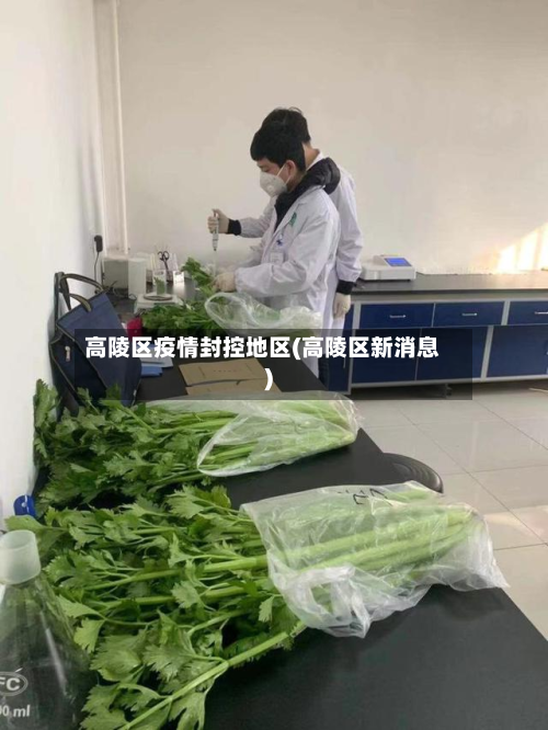 高陵区疫情封控地区(高陵区新消息)-第3张图片