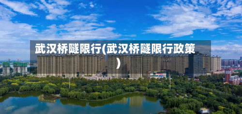 武汉桥隧限行(武汉桥隧限行政策)-第2张图片