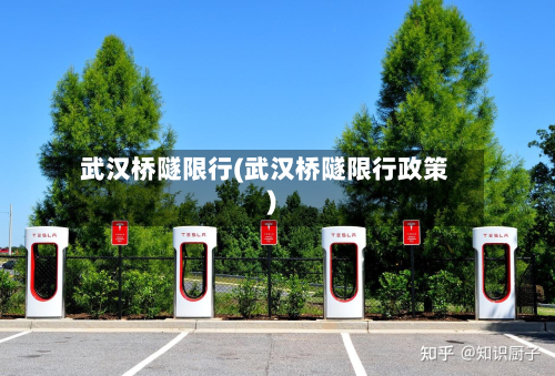 武汉桥隧限行(武汉桥隧限行政策)-第3张图片