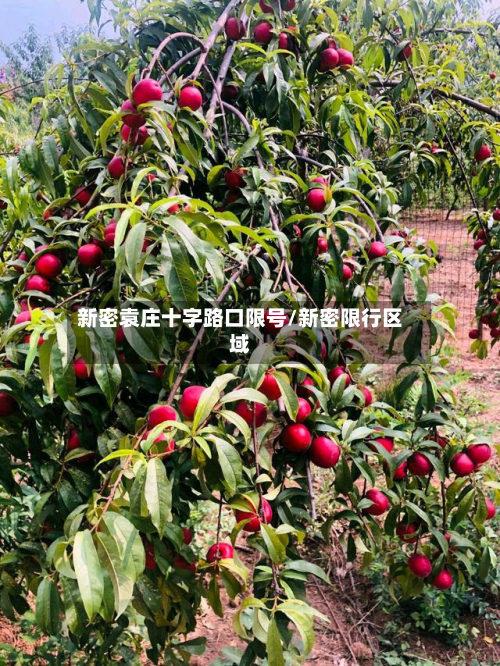 新密袁庄十字路口限号/新密限行区域-第2张图片
