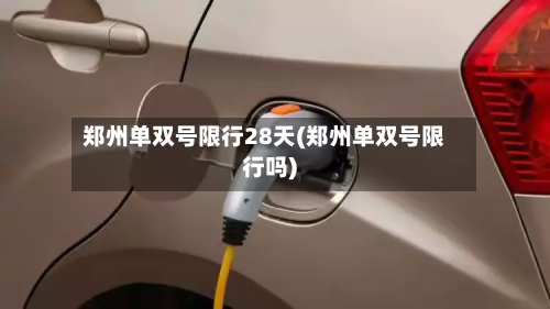 郑州单双号限行28天(郑州单双号限行吗)-第3张图片