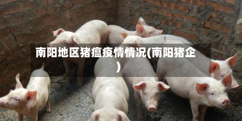 南阳地区猪瘟疫情情况(南阳猪企)-第2张图片