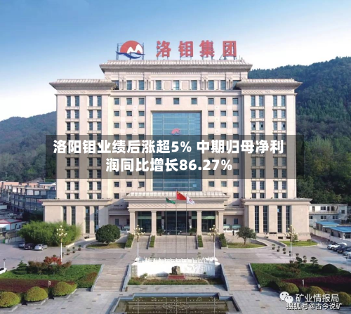 洛阳钼业绩后涨超5% 中期归母净利润同比增长86.27%-第2张图片