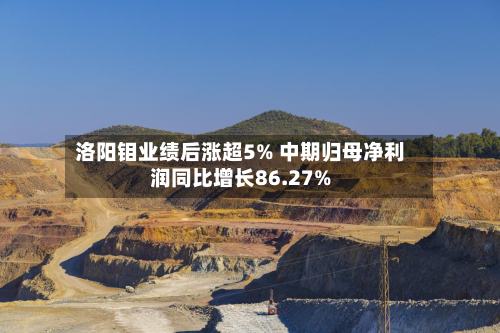 洛阳钼业绩后涨超5% 中期归母净利润同比增长86.27%-第1张图片