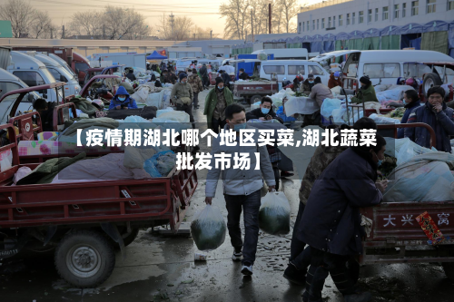 【疫情期湖北哪个地区买菜,湖北蔬菜批发市场】