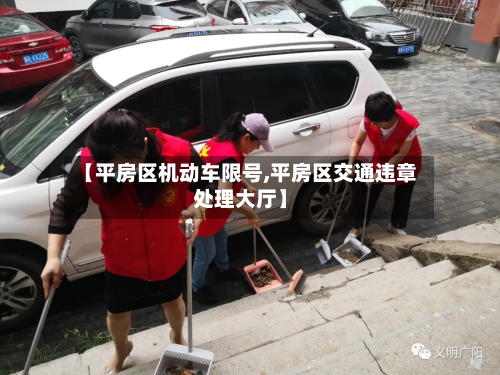 【平房区机动车限号,平房区交通违章处理大厅】-第3张图片