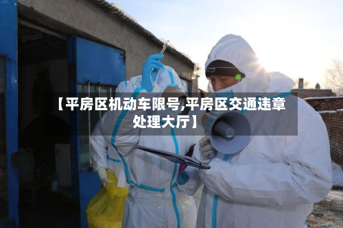 【平房区机动车限号,平房区交通违章处理大厅】
